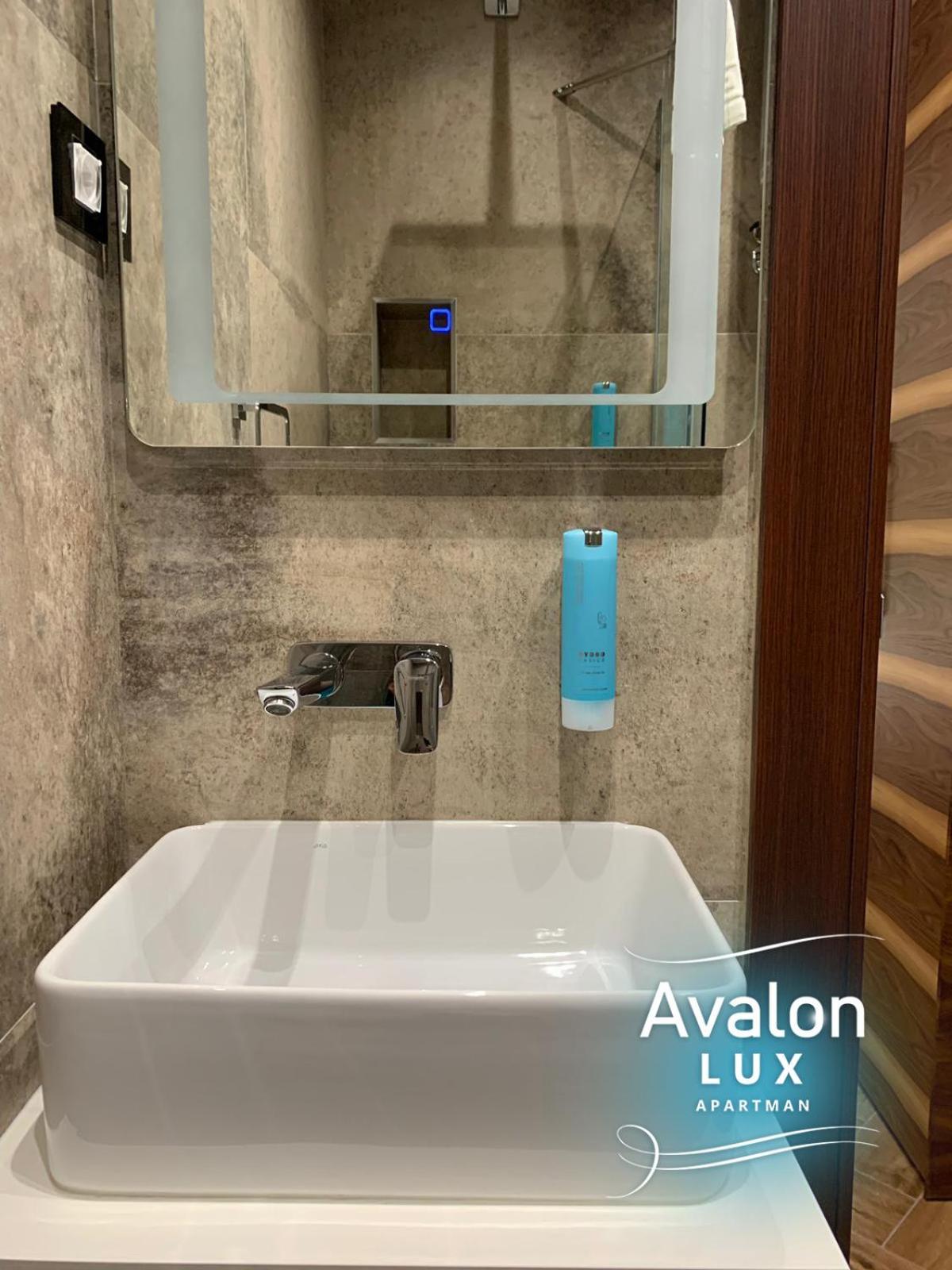 Avalon Lux Studio Apartment Νόβι Σαντ Εξωτερικό φωτογραφία